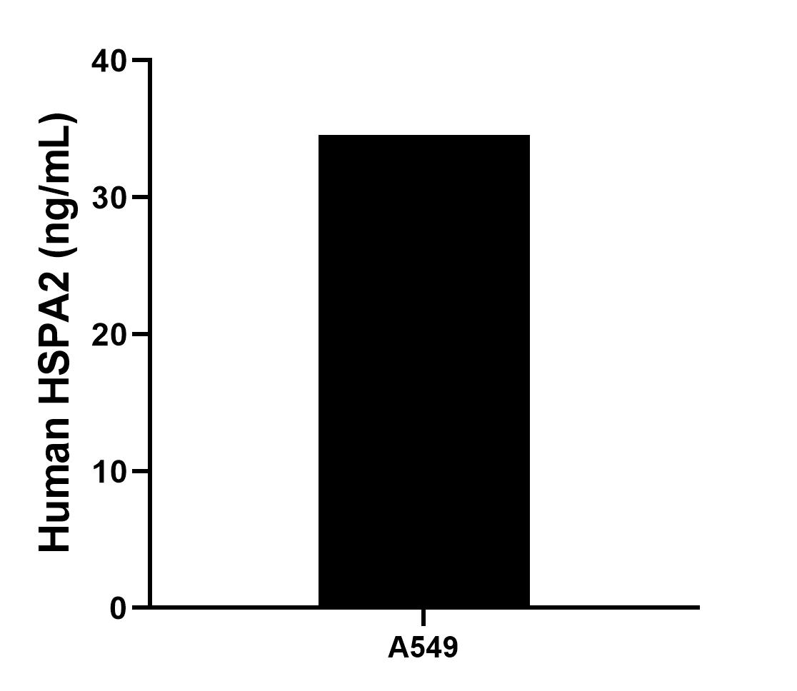 Sample test of MP00465-1